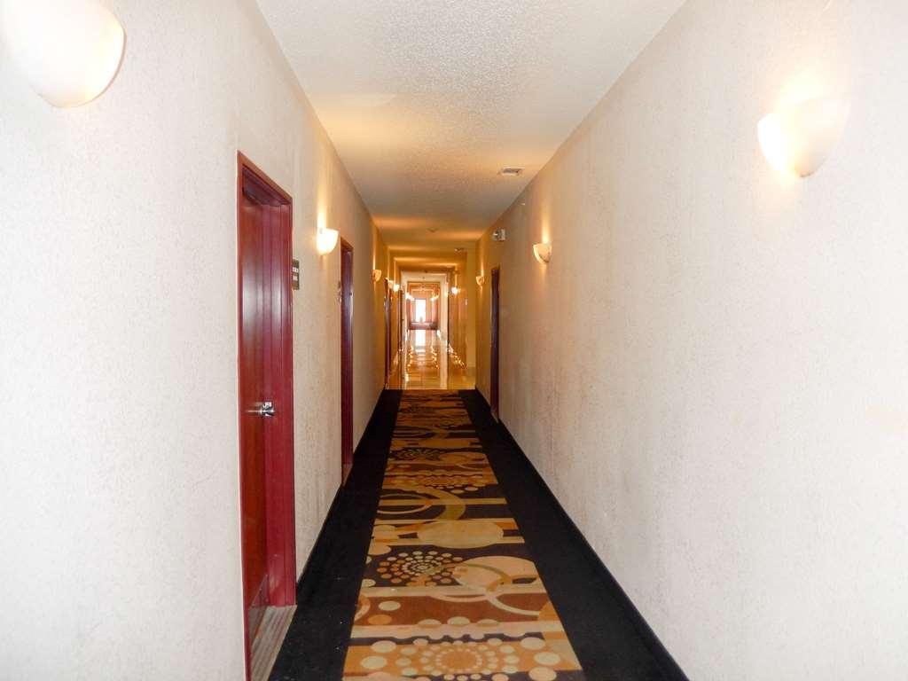 Motel 6-Mesquite, Tx - Balch Springs Bekvämligheter bild